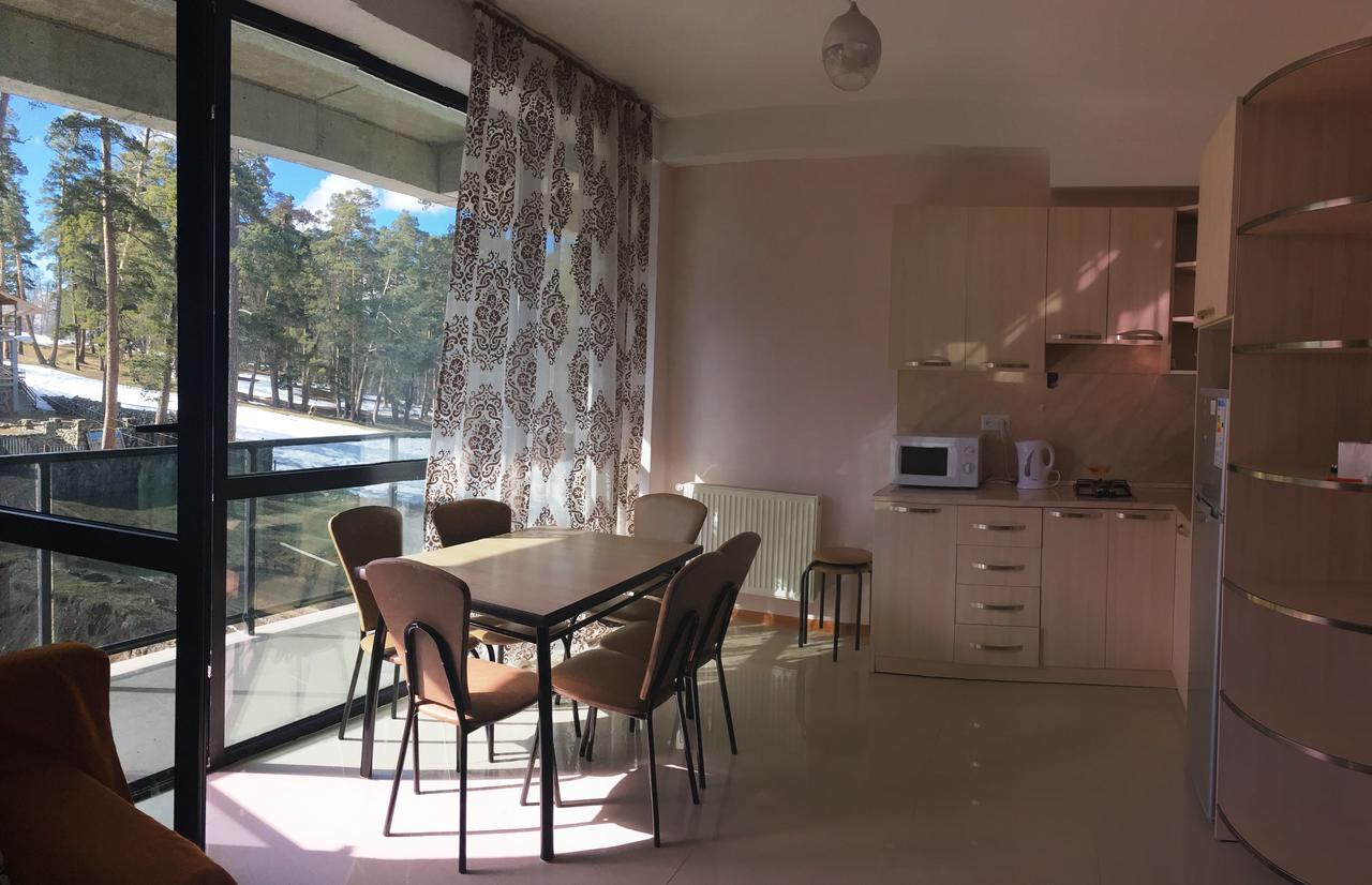 Apart 516 Bobline Bakuriani Exterior foto